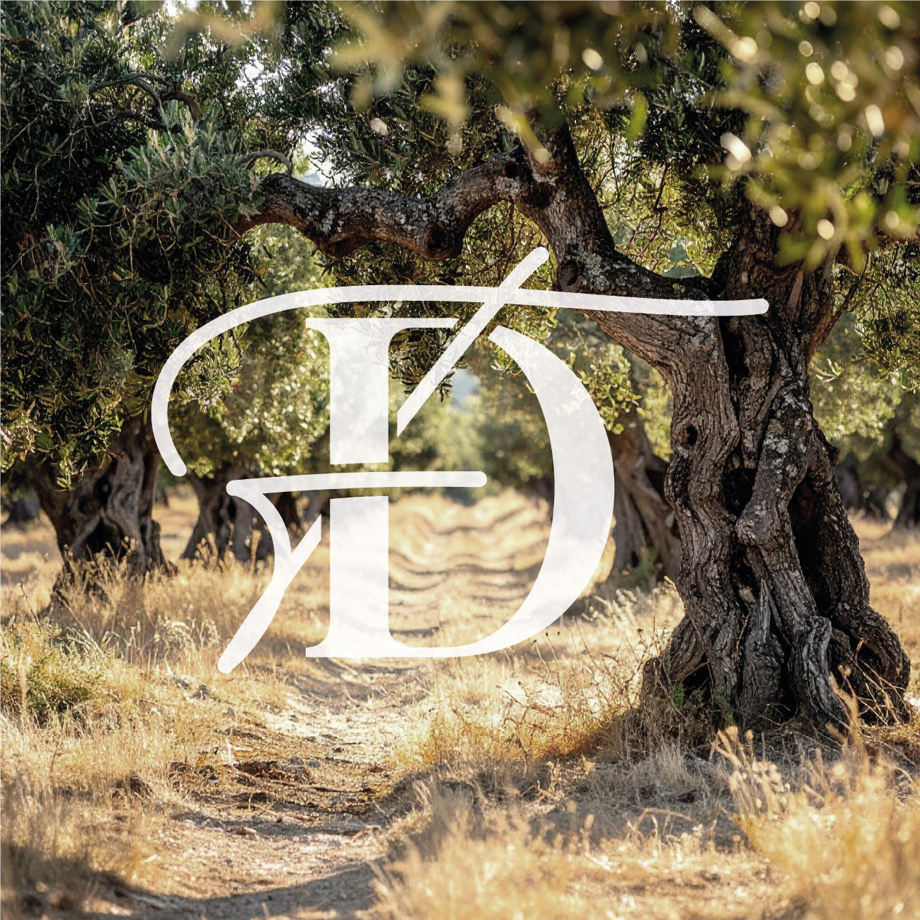 Domaine Fontenille